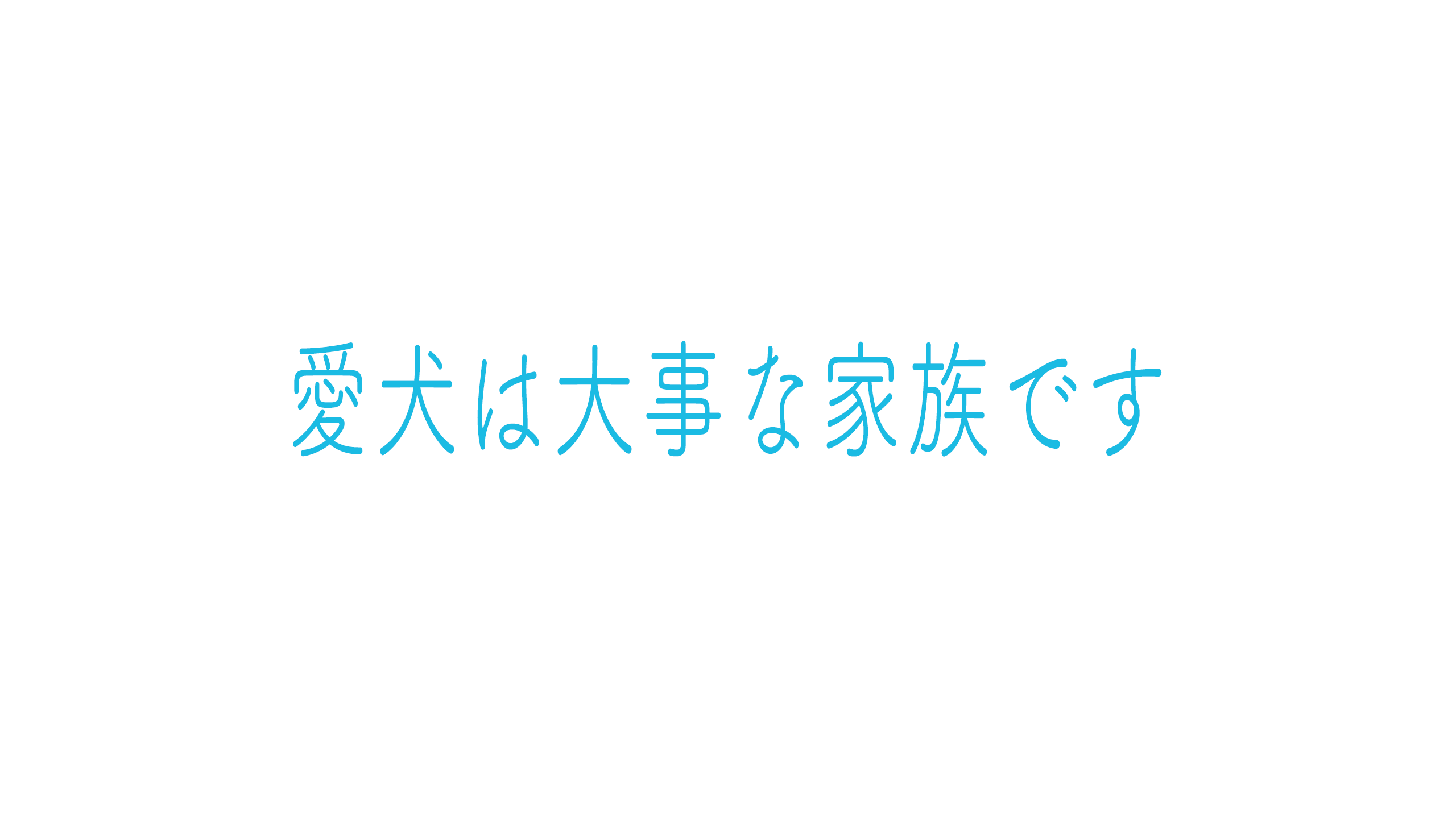 愛犬は大事な家族です